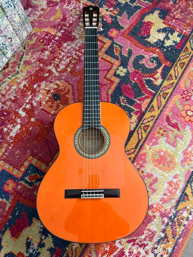 Rosewood Guitar — customer photo 4