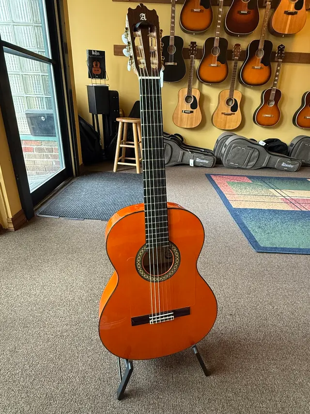Rosewood Guitar — customer photo 1