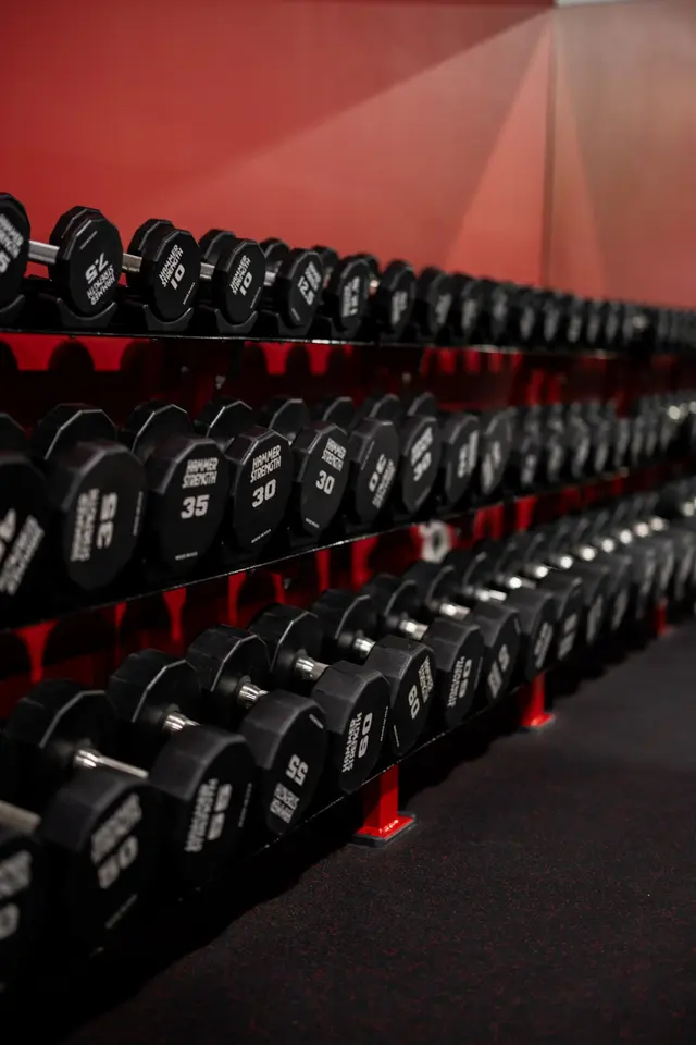 Impact Zone Fitness and Sports Performance — photo from the business 7
