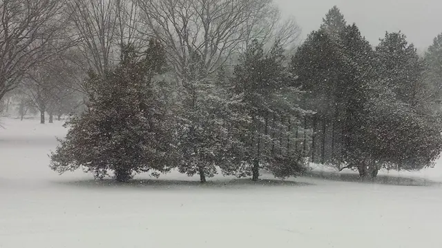 Yardley Country Club — customer photo 8