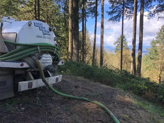 West Side Drain and Septic — photo from the business 2
