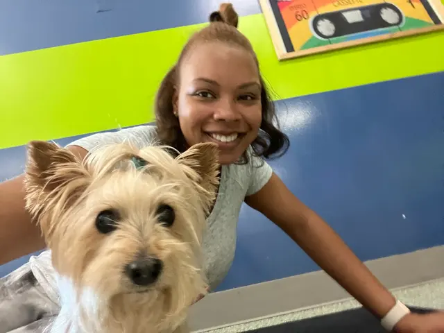 Max and Alayna's Paws Play — photo from the business 8