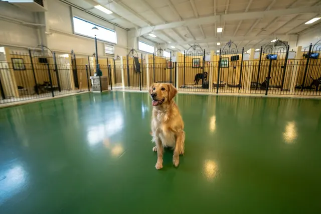 Pet Palace - Cleveland East — photo from the business 4