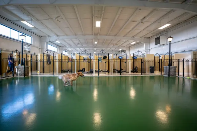 Pet Palace - Cleveland East — photo from the business 10