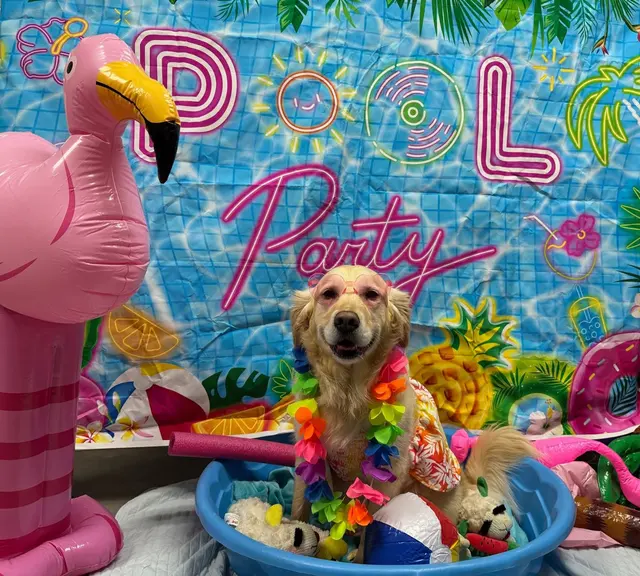 Pet Palace - Cleveland East — photo from the business 12