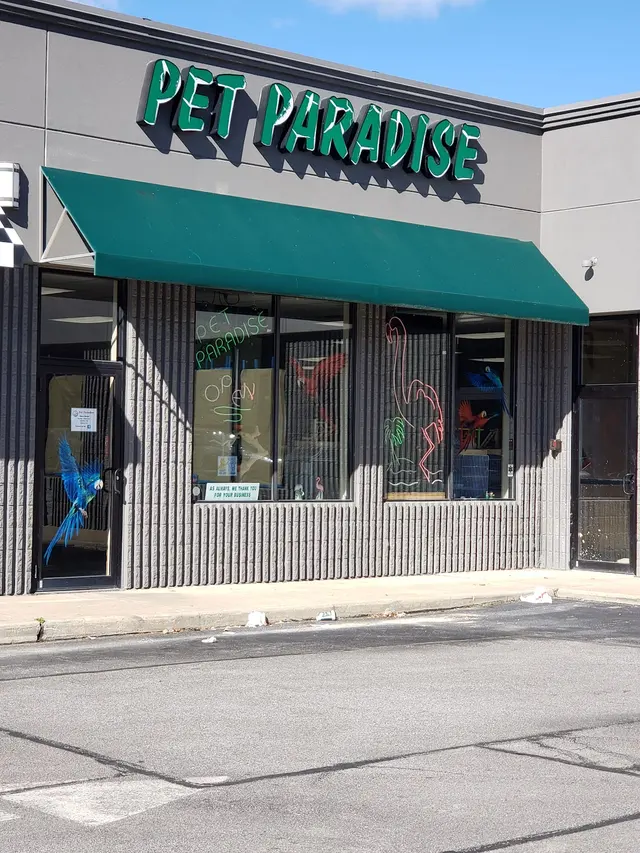 Pet Paradise — customer photo 1