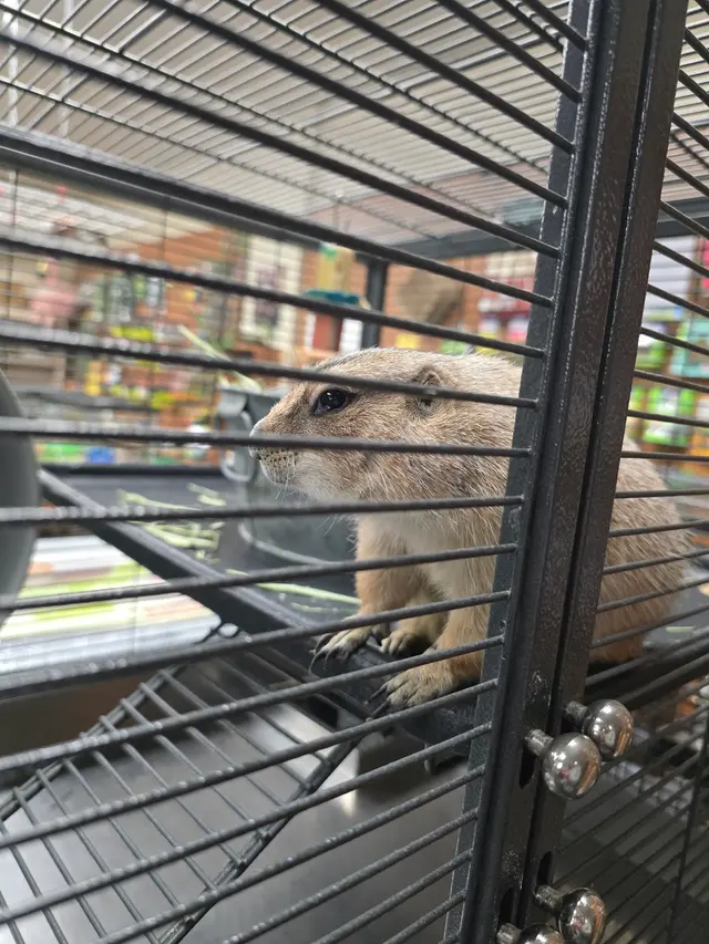 Pet Paradise — customer photo 2