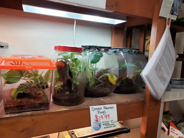 Pet Paradise — customer photo 11