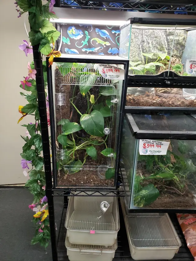 Pet Paradise — customer photo 12