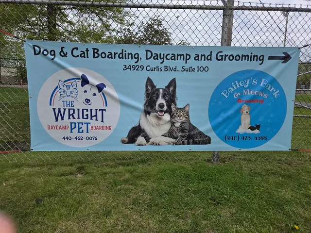 The Wright Pet Daycamp & Boarding — photo from the business 3