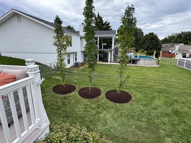 Customer photo from Ron's review