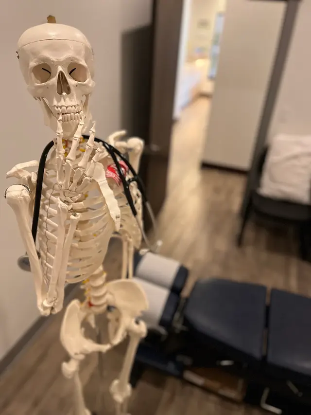 SanaVita Health & Wellness — photo from the business 7
