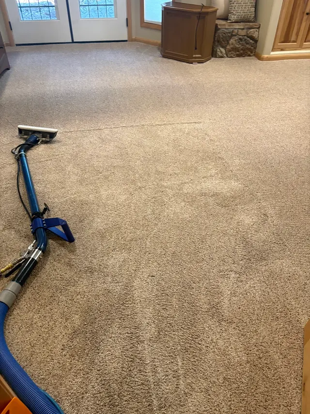 Elite Carpet Cleaning — photo from the business 2