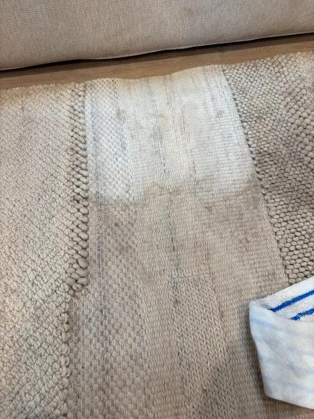 Elite Carpet Cleaning — photo from the business 8