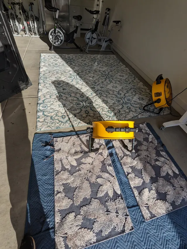 Elite Carpet Cleaning — photo from the business 12