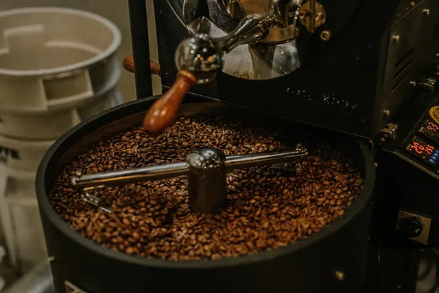 Junction Roastery • Social Club — photo from the business 2