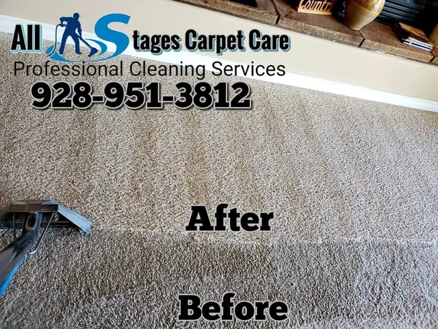 All Stages Carpet Care — photo from the business 12