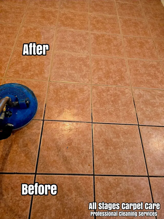 All Stages Carpet Care — photo from the business 6