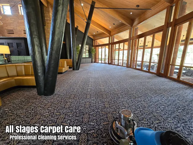 All Stages Carpet Care — photo from the business 2