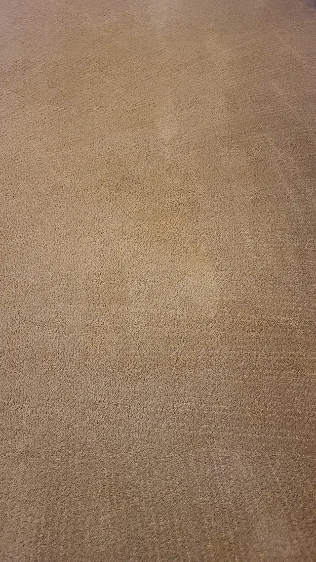ALL STAGES CARPET CARE — customer photo 5
