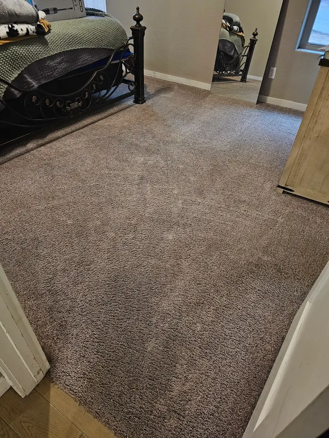 ALL STAGES CARPET CARE — customer photo 4