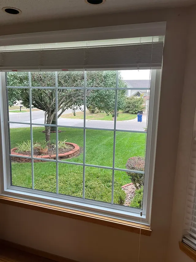 Customer photo from Wonderful's review