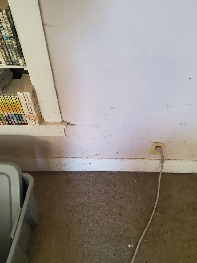 Jetter Clean Advanced Drain Cleaning — customer photo 10