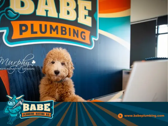 Babe Plumbing Heating and Air — photo from the business 6