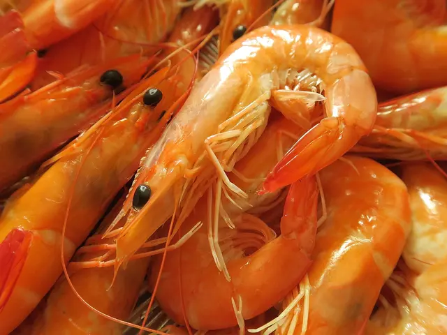 KIKOS PLACE SEAFOOD — photo from the business 12
