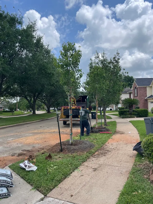 JRP Tree Services — customer photo 2