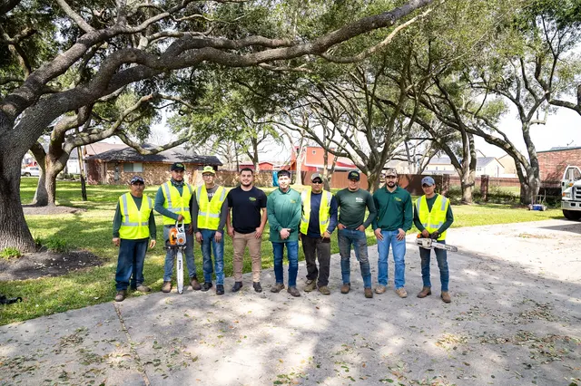 JRP Tree Services — photo from the business 12