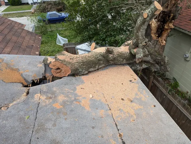 JRP Tree Services — customer photo 6