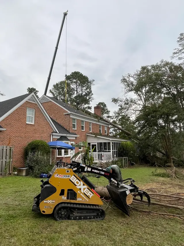 JRP Tree Services — photo from the business 10