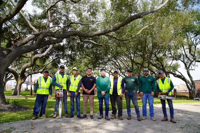 JRP Tree Services — photo from the business 1