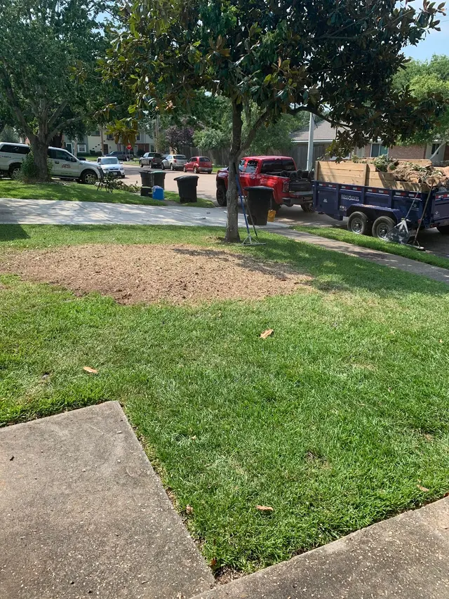 Professional Tree Care — customer photo 5