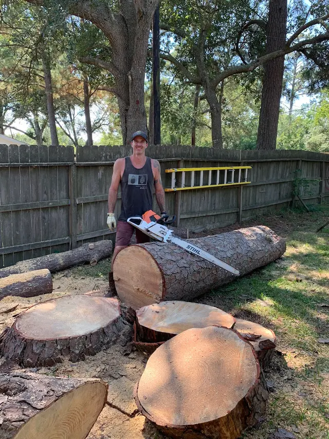 Professional Tree Care — customer photo 12