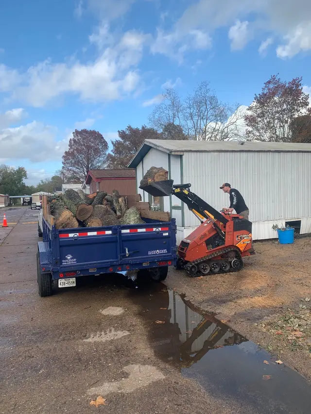 Professional Tree Care — photo from the business 4