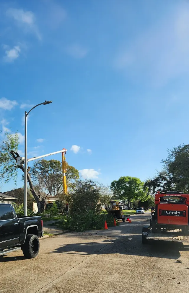 GULF COAST TREE REMOVAL - ISA Certified Arborist — customer photo 6