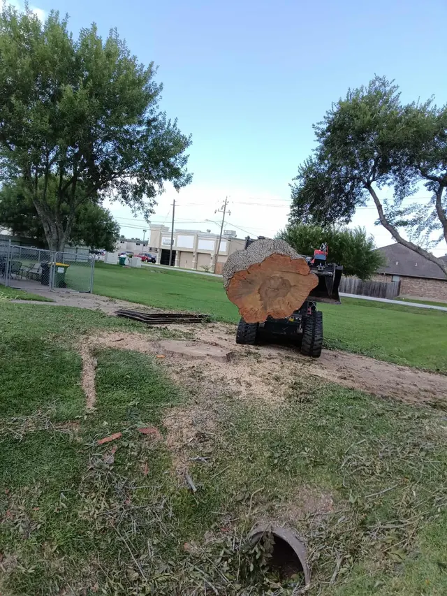 GULF COAST TREE REMOVAL - ISA Certified Arborist — photo from the business 10