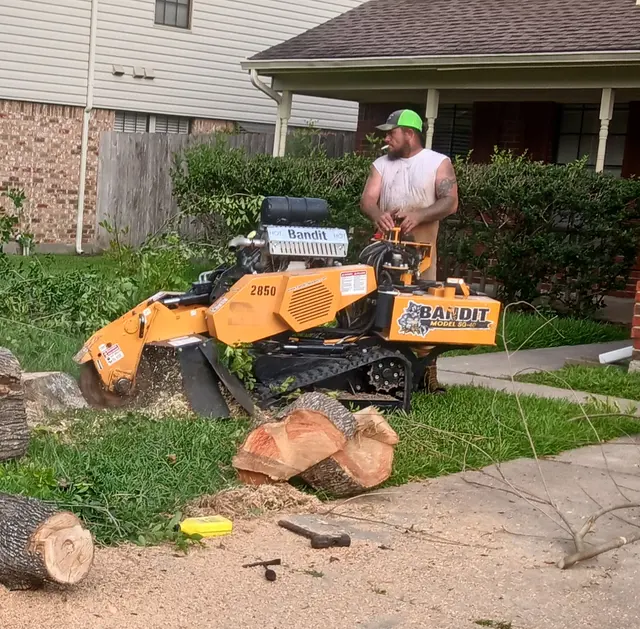 GULF COAST TREE REMOVAL - ISA Certified Arborist — photo from the business 12