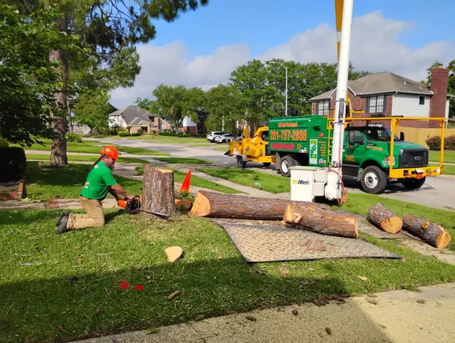 GULF COAST TREE REMOVAL - ISA Certified Arborist — photo from the business 8