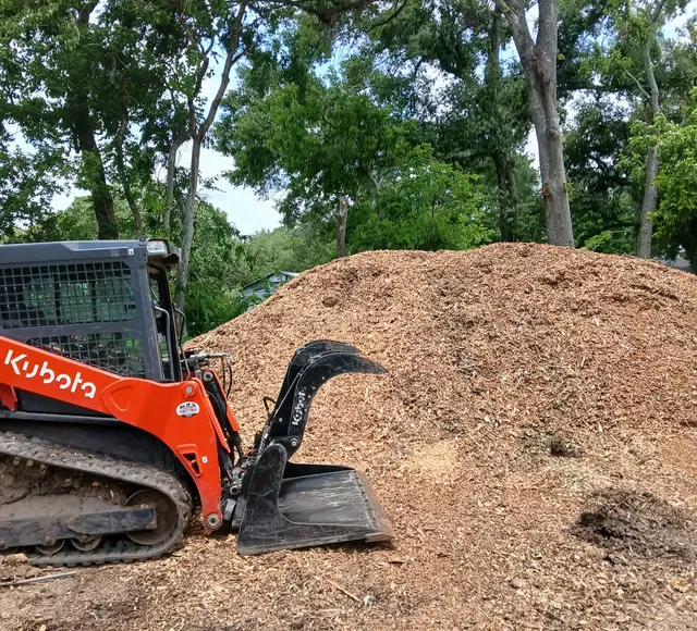 GULF COAST TREE REMOVAL - ISA Certified Arborist — photo from the business 9
