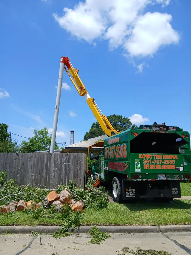 GULF COAST TREE REMOVAL - ISA Certified Arborist — photo from the business 5