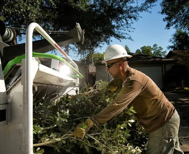 C.I.R Tree Service — customer photo 5