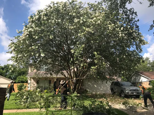 C.I.R Tree Service — customer photo 2