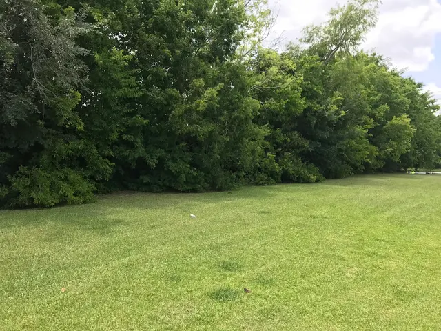 C.I.R Tree Service — customer photo 4