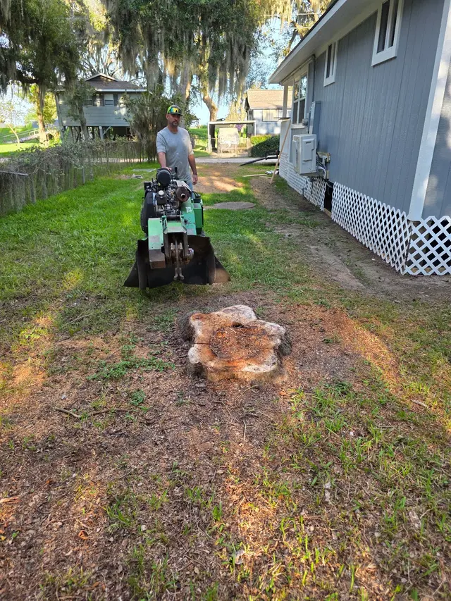 Landyn Trees — photo from the business 2