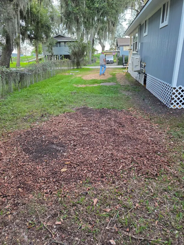 Landyn Trees — photo from the business 8