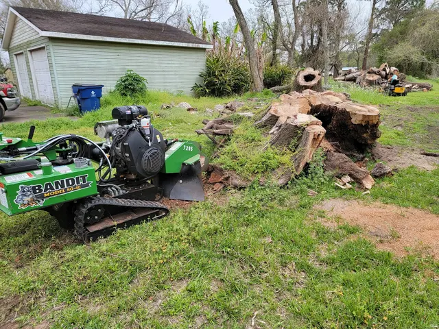 Landyn Trees — photo from the business 3