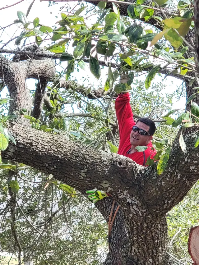 Landyn Trees — photo from the business 12